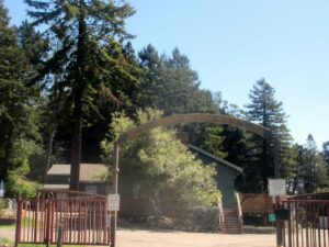 green pine and redwood trees behind an arched sign that says camp herms