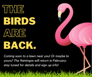 black background with yellow text and a pink flamingo standing on green grass